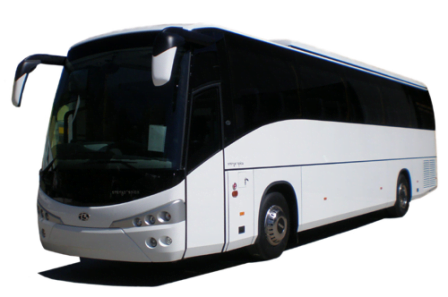 Bus Bus 